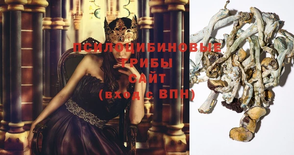 jwh Пролетарск