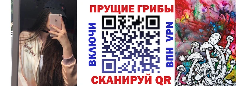 Купить где  Иваново  Галлюциногенные грибы GOLDEN TEACHER 